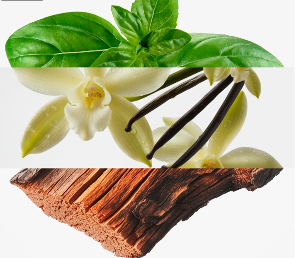 Perfume Selecto YANBAL